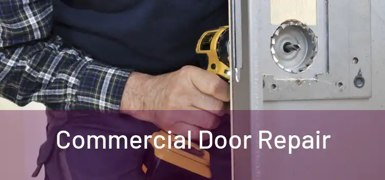  Commercial Door Repair 
