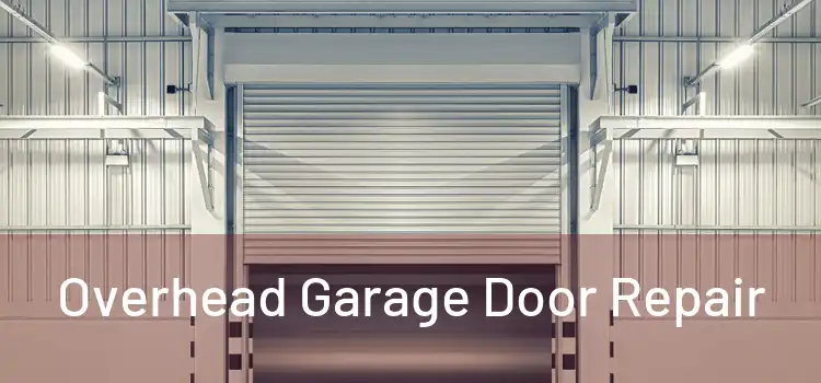  Overhead Garage Door Repair 